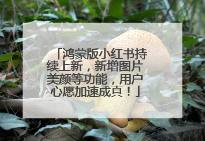 鸿蒙版小红书持续上新，新增图片美颜等功能，用户心愿加速成真！