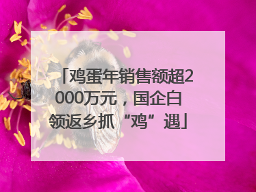鸡蛋年销售额超2000万元，国企白领返乡抓“鸡”遇