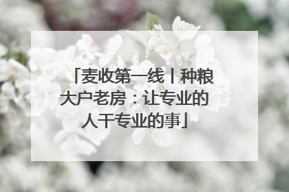 麦收第一线丨种粮大户老房：让专业的人干专业的事