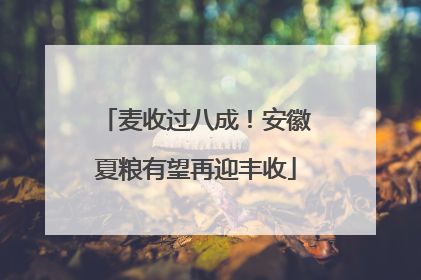 麦收过八成！安徽夏粮有望再迎丰收
