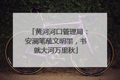 黄河河口管理局：安澜笔蘸文明墨，书就大河万里秋