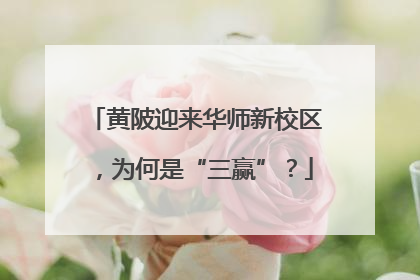黄陂迎来华师新校区，为何是“三赢”？