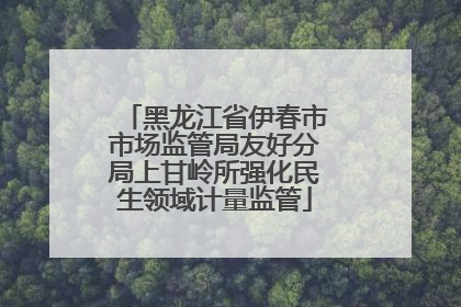 黑龙江省伊春市市场监管局友好分局上甘岭所强化民生领域计量监管