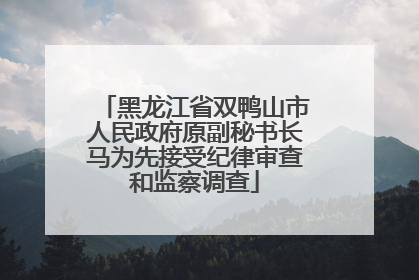 黑龙江省双鸭山市人民政府原副秘书长马为先接受纪律审查和监察调查