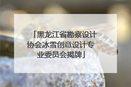 黑龙江省勘察设计协会冰雪创意设计专业委员会揭牌