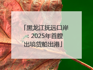 黑龙江抚远口岸：2025年首艘出境货船出港