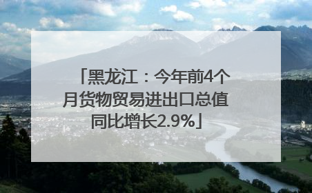 黑龙江：今年前4个月货物贸易进出口总值同比增长2.9%