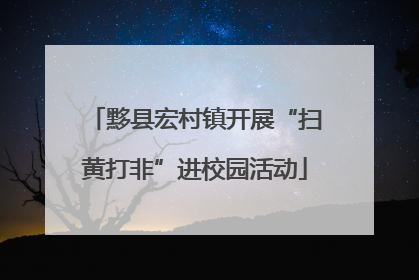 黟县宏村镇开展“扫黄打非”进校园活动