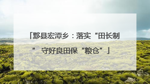 黟县宏潭乡：落实“田长制” 守好良田保“粮仓”