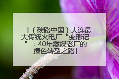 （碳路中国）大连最大传统火电厂“变形记”：40年燃煤老厂的绿色转型之路