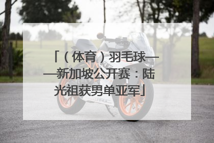 （体育）羽毛球——新加坡公开赛：陆光祖获男单亚军