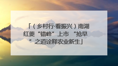 （乡村行·看振兴）南湖红菱“错峰”上市 “抢早”之道诠释农业新生