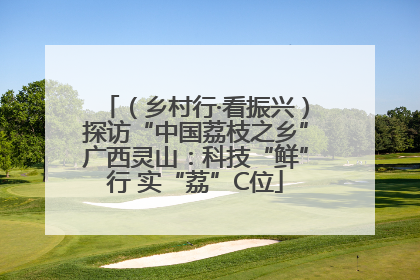 （乡村行·看振兴）探访“中国荔枝之乡”广西灵山：科技“鲜”行 实“荔”C位