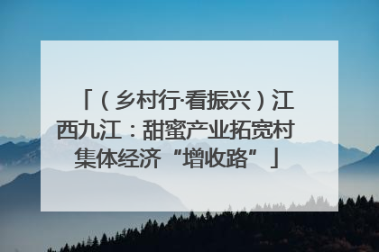 （乡村行·看振兴）江西九江：甜蜜产业拓宽村集体经济“增收路”