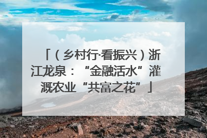 （乡村行·看振兴）浙江龙泉：“金融活水”灌溉农业“共富之花”