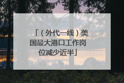 （外代一线）美国最大港口工作岗位减少近半