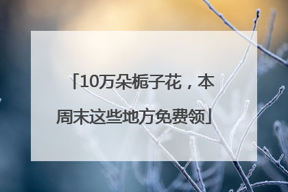 10万朵栀子花，本周末这些地方免费领