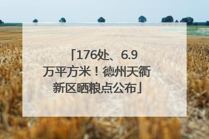 176处、6.9万平方米！德州天衢新区晒粮点公布