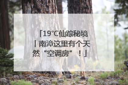 19℃仙踪秘境丨南漳这里有个天然“空调房”！