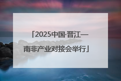 2025中国·晋江—南非产业对接会举行