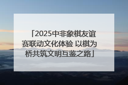 2025中非象棋友谊赛联动文化体验 以棋为桥共筑文明互鉴之路