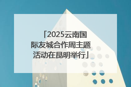 2025云南国际友城合作周主题活动在昆明举行