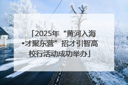 2025年“黄河入海•才聚东营”招才引智高校行活动成功举办
