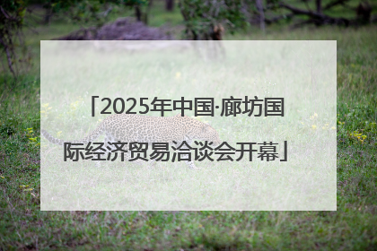 2025年中国·廊坊国际经济贸易洽谈会开幕