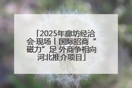 2025年廊坊经洽会·现场丨国际招商“磁力”足 外商争相向河北推介项目
