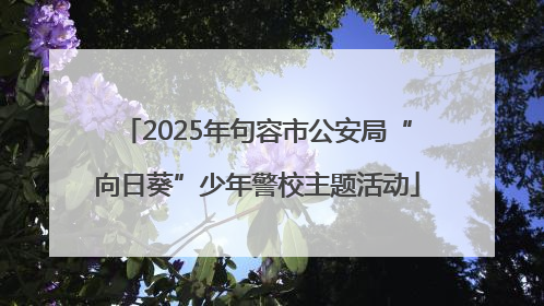 2025年句容市公安局“向日葵”少年警校主题活动