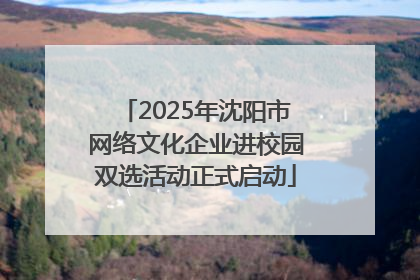 2025年沈阳市网络文化企业进校园双选活动正式启动