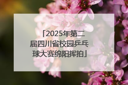 2025年第二届四川省校园乒乓球大赛绵阳挥拍