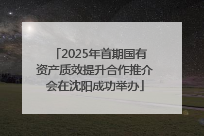 2025年首期国有资产质效提升合作推介会在沈阳成功举办