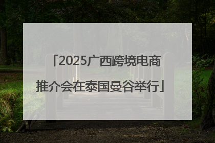 2025广西跨境电商推介会在泰国曼谷举行
