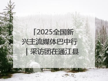 2025全国新兴主流媒体巴中行｜采访团在通江县瞻仰全国最大红军烈士陵园