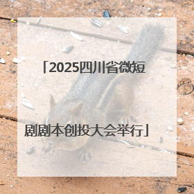 2025四川省微短剧剧本创投大会举行