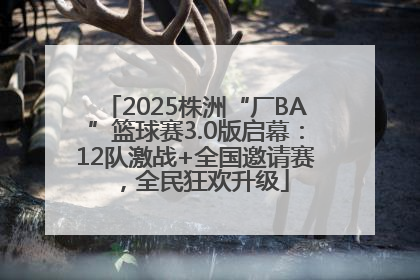 2025株洲“厂BA”篮球赛3.0版启幕：12队激战+全国邀请赛，全民狂欢升级