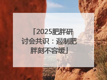 2025肥胖研讨会共识：遏制肥胖刻不容缓