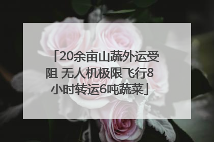 20余亩山蔬外运受阻 无人机极限飞行8小时转运6吨蔬菜