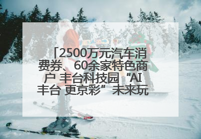 2500万元汽车消费券、60余家特色商户 丰台科技园“AI丰台 更京彩”未来玩家市集活动正式开幕