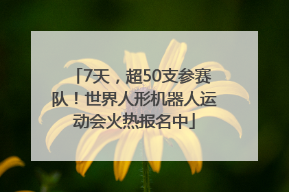 7天，超50支参赛队！世界人形机器人运动会火热报名中