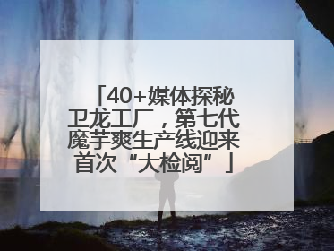 40+媒体探秘卫龙工厂，第七代魔芋爽生产线迎来首次“大检阅”