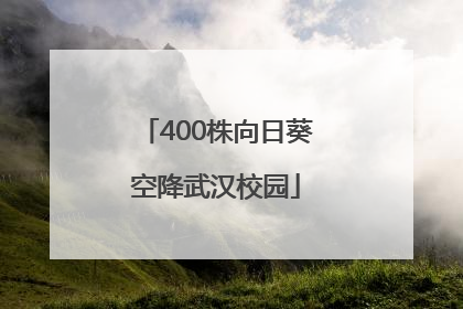 400株向日葵空降武汉校园