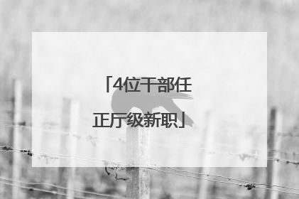 4位干部任正厅级新职