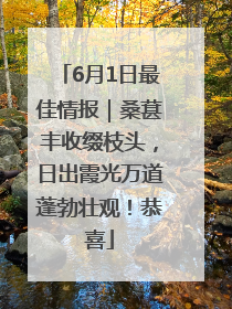 6月1日最佳情报｜桑葚丰收缀枝头，日出霞光万道蓬勃壮观！恭喜