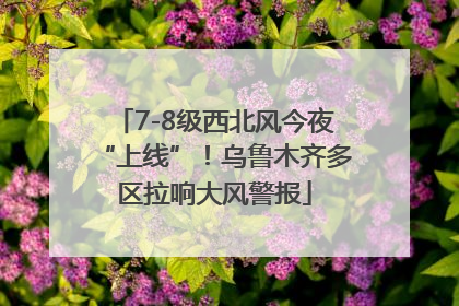 7-8级西北风今夜“上线”！乌鲁木齐多区拉响大风警报