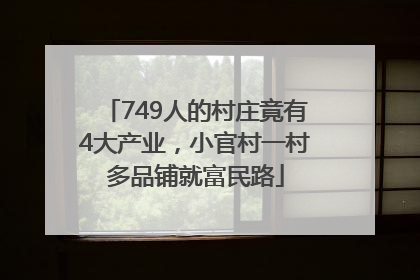 749人的村庄竟有4大产业，小官村一村多品铺就富民路