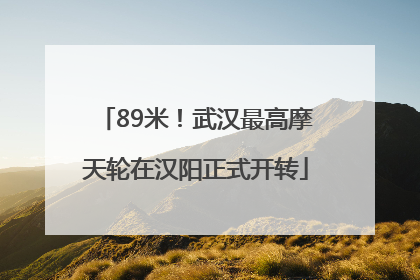 89米！武汉最高摩天轮在汉阳正式开转