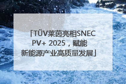 TÜV莱茵亮相SNEC PV+ 2025，赋能新能源产业高质量发展