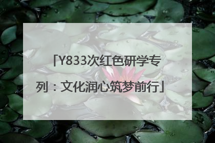Y833次红色研学专列：文化润心筑梦前行
